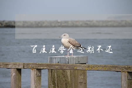 百度度学金逾期不还 百度度学金逾期不还