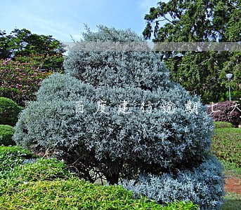 百度建行逾期七天