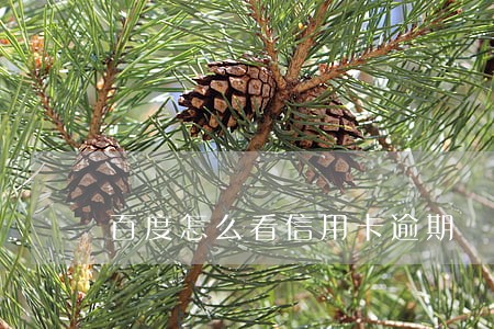 百度怎么看信用卡逾期 百度怎么看信用卡逾期