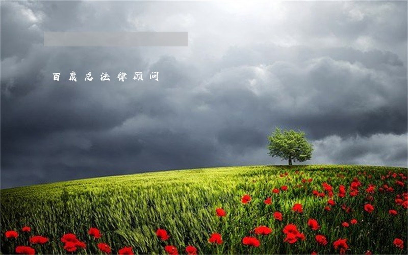 百度总法律顾问 百度总法律顾问