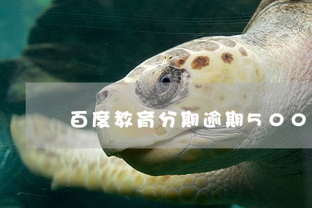 百度教育分期逾期500多天 百度教育分期逾期500多天