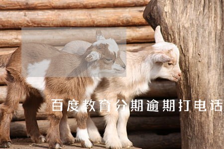 百度教育分期逾期打电话 百度教育分期逾期打电话