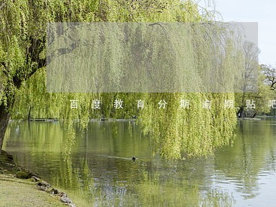 百度教育分期逾期贴吧 百度教育分期逾期贴吧