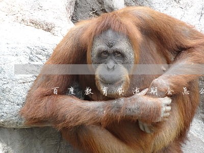 百度教育贷逾期会怎么样 百度教育贷逾期会怎么样