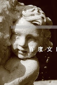 百度文库司法人民调解调查记录