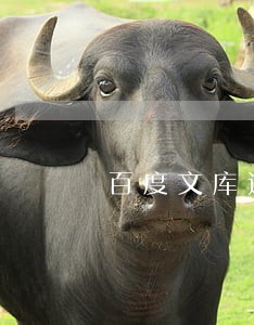 百度文库违法吗