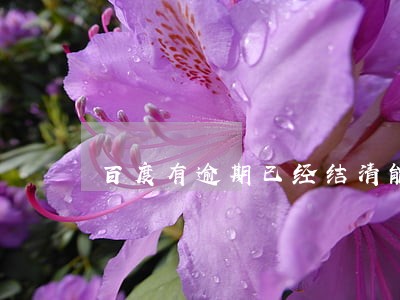 百度有逾期已经结清能贷款吗 百度有逾期已经结清能贷款吗