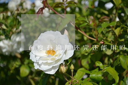 百度有逾期还完还能用吗 百度有逾期还完还能用吗