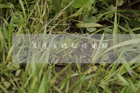 百度有钱征信逾期 百度有钱征信逾期