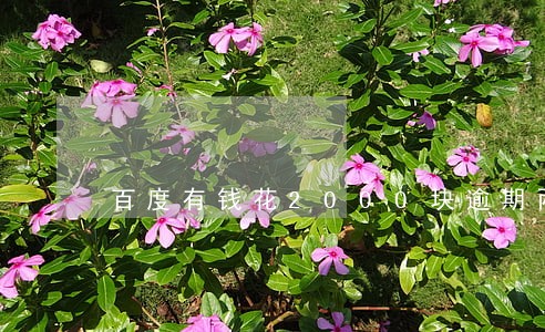 百度有钱花2000块逾期两年 百度有钱花2000块逾期两年