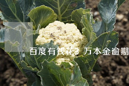 百度有钱花3万本金逾期一年 百度有钱花3万本金逾期一年