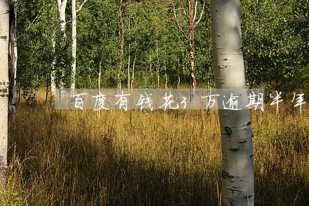 百度有钱花3万逾期半年 百度有钱花3万逾期半年