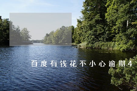 百度有钱花不小心逾期4天怎么办 百度有钱花不小心逾期4天怎么办