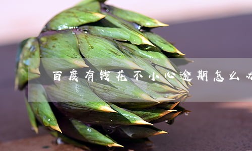 百度有钱花不小心逾期怎么办 百度有钱花不小心逾期怎么办