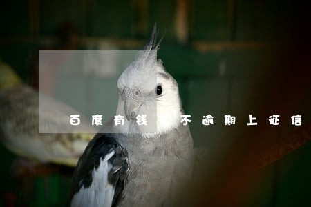 百度有钱花不逾期上征信吗 百度有钱花不逾期上征信吗