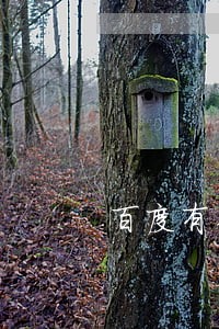 百度有钱花不逾期影响征信吗 百度有钱花不逾期影响征信吗