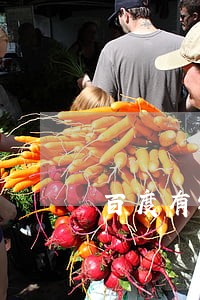 百度有钱花借款10万逾期 百度有钱花借款10万逾期