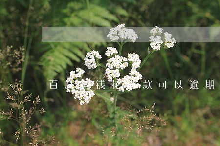 百度有钱花借款可以逾期多久 百度有钱花借款可以逾期多久
