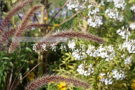 百度有钱花借款无逾期影响房贷吗 百度有钱花借款无逾期影响房贷吗