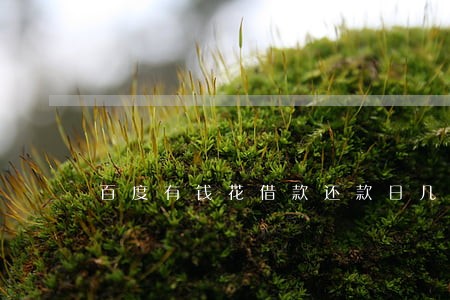 百度有钱花借款还款日几天算逾期 百度有钱花借款还款日几天算逾期