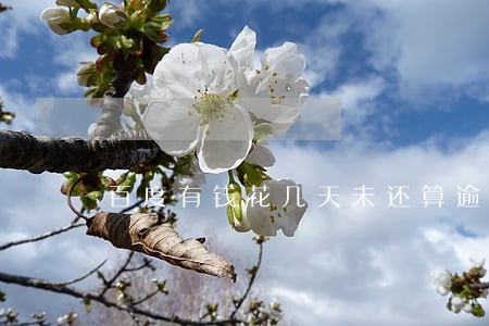 百度有钱花几天未还算逾期 百度有钱花几天未还算逾期