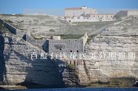 百度有钱花医美分期逾期怎么办 百度有钱花医美分期逾期怎么办