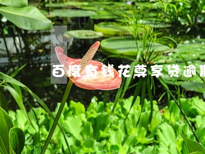 百度有钱花尊享贷逾期罚息多少 百度有钱花尊享贷逾期罚息多少