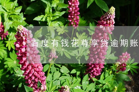 百度有钱花尊享贷逾期账单没有了 百度有钱花尊享贷逾期账单没有了