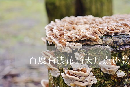 百度有钱花当天几点还款算逾期 百度有钱花当天几点还款算逾期