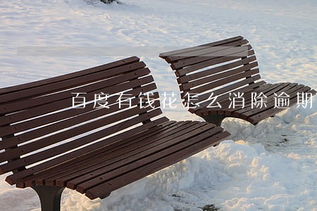 百度有钱花怎么消除逾期 百度有钱花怎么消除逾期