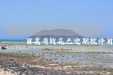 百度有钱花无逾期被停用 百度有钱花无逾期被停用