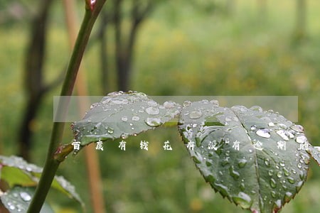百度有钱花有没有逾期的 百度有钱花有没有逾期的