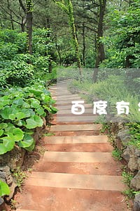 百度有钱花有逾期时间长的吗 百度有钱花有逾期时间长的吗
