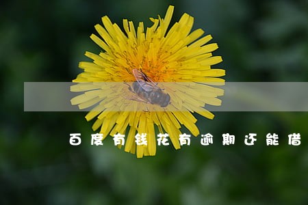 百度有钱花有逾期还能借出来吗 百度有钱花有逾期还能借出来吗