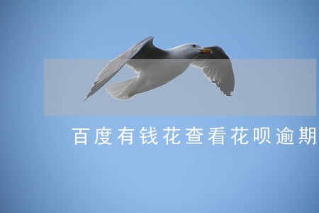 百度有钱花查看花呗逾期记录吗 百度有钱花查看花呗逾期记录吗