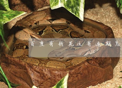 百度有钱花没有逾期怎么办 百度有钱花没有逾期怎么办