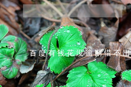 百度有钱花没逾期借不出来 百度有钱花没逾期借不出来