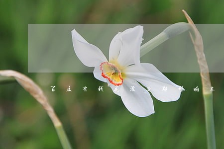 百度有钱花没逾期影响车贷吗 百度有钱花没逾期影响车贷吗