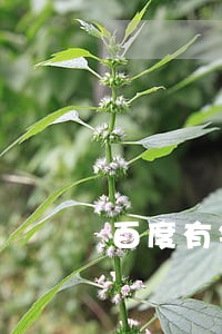 百度有钱花没逾期打电话提示还款 百度有钱花没逾期打电话提示还款