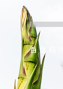 百度有钱花没逾期遭拒绝 百度有钱花没逾期遭拒绝
