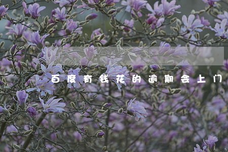 百度有钱花的逾期会上门吗 百度有钱花的逾期会上门吗