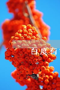 百度有钱花的逾期利息是多少 百度有钱花的逾期利息是多少