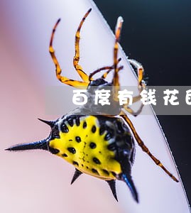 百度有钱花的逾期可以协商吗 百度有钱花的逾期可以协商吗