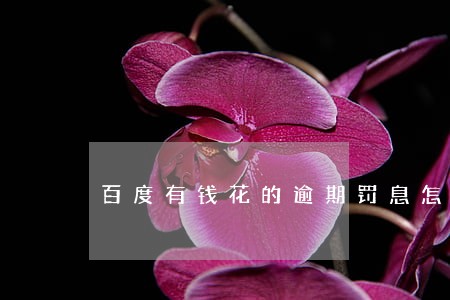 百度有钱花的逾期罚息怎么算 百度有钱花的逾期罚息怎么算
