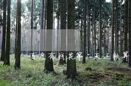 百度有钱花第二天还款算逾期吗 百度有钱花第二天还款算逾期吗