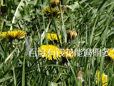百度有钱花能逾期多久 百度有钱花能逾期多久