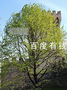 百度有钱花设置逾期彩铃 百度有钱花设置逾期彩铃