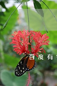 百度有钱花说恶意逾期会怎样 百度有钱花说恶意逾期会怎样