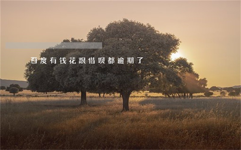 百度有钱花跟借呗都逾期了 百度有钱花跟借呗都逾期了