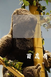 百度有钱花还完逾期让还全额 百度有钱花还完逾期让还全额